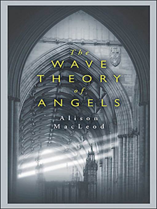 Title details for The Wave Theory of Angels by Alison MacLeod - Available